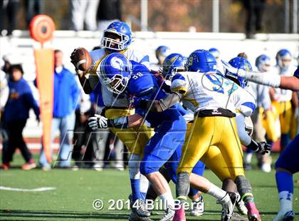 Thumbnail 3 in Harding @ Darien photogallery.