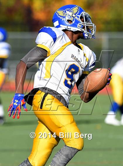 Thumbnail 2 in Harding @ Darien photogallery.