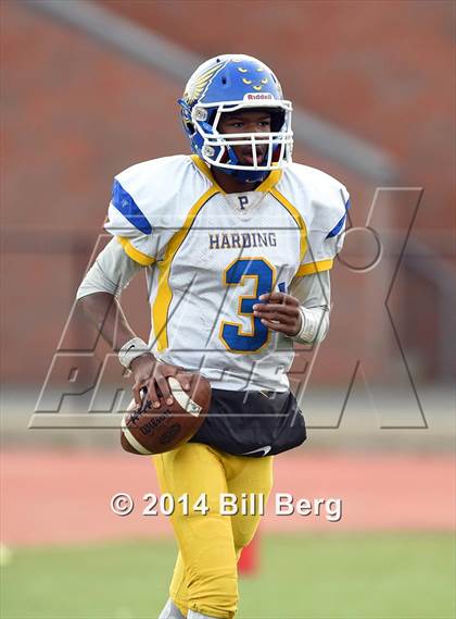 Thumbnail 3 in Harding @ Darien photogallery.