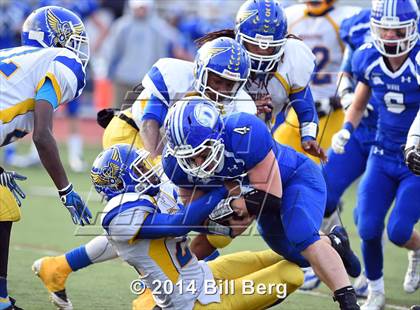 Thumbnail 2 in Harding @ Darien photogallery.