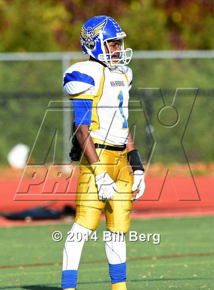 Thumbnail 2 in Harding @ Darien photogallery.