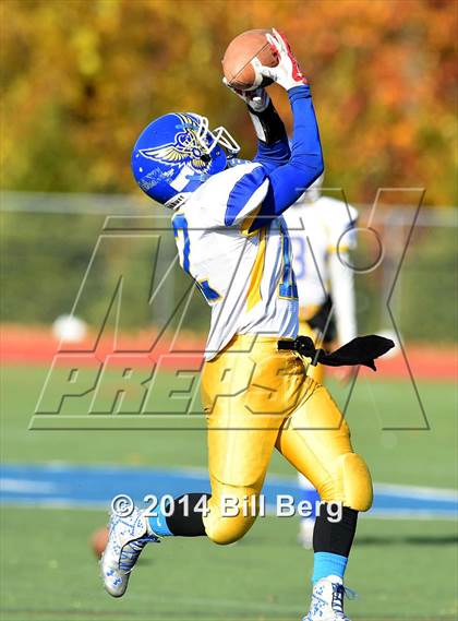 Thumbnail 1 in Harding @ Darien photogallery.