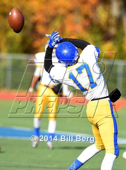 Thumbnail 3 in Harding @ Darien photogallery.