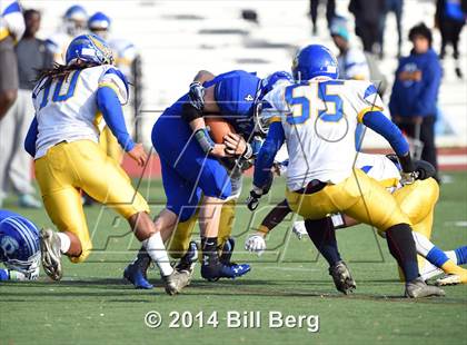 Thumbnail 1 in Harding @ Darien photogallery.
