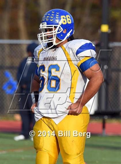Thumbnail 3 in Harding @ Darien photogallery.