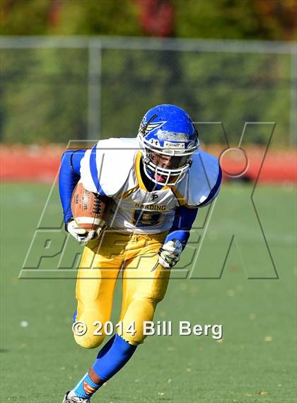 Thumbnail 1 in Harding @ Darien photogallery.
