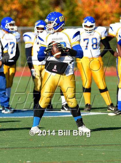 Thumbnail 1 in Harding @ Darien photogallery.