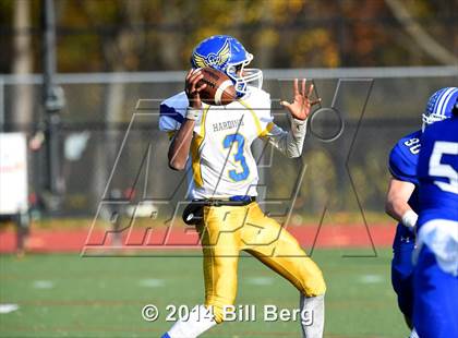 Thumbnail 2 in Harding @ Darien photogallery.