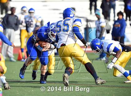 Thumbnail 2 in Harding @ Darien photogallery.