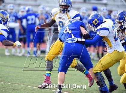 Thumbnail 1 in Harding @ Darien photogallery.