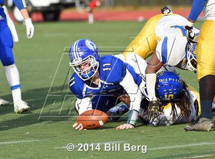 Thumbnail 1 in Harding @ Darien photogallery.