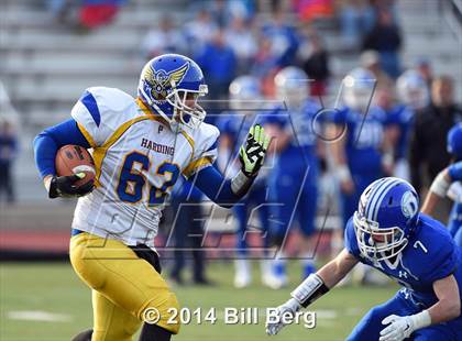 Thumbnail 3 in Harding @ Darien photogallery.