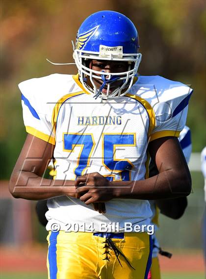 Thumbnail 2 in Harding @ Darien photogallery.