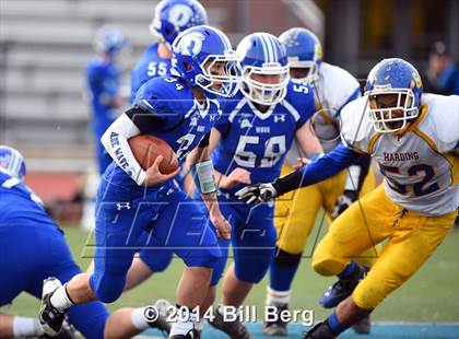 Thumbnail 1 in Harding @ Darien photogallery.