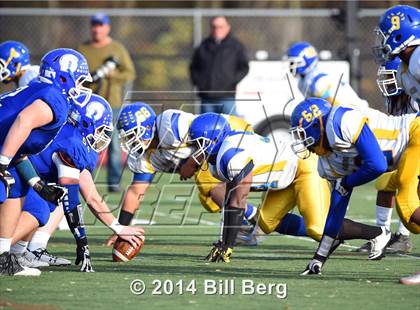 Thumbnail 1 in Harding @ Darien photogallery.