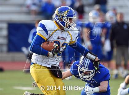 Thumbnail 1 in Harding @ Darien photogallery.