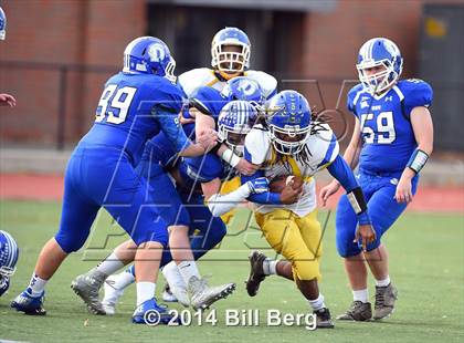 Thumbnail 1 in Harding @ Darien photogallery.