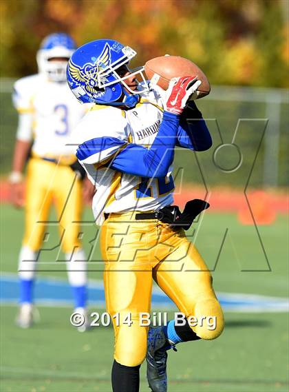 Thumbnail 2 in Harding @ Darien photogallery.