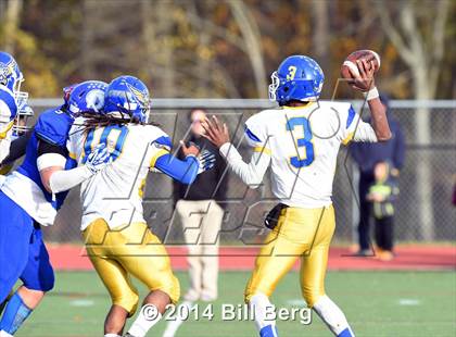 Thumbnail 1 in Harding @ Darien photogallery.