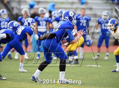 Thumbnail 1 in Harding @ Darien photogallery.