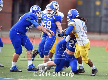 Thumbnail 1 in Harding @ Darien photogallery.