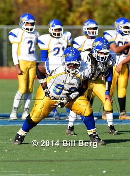 Thumbnail 1 in Harding @ Darien photogallery.