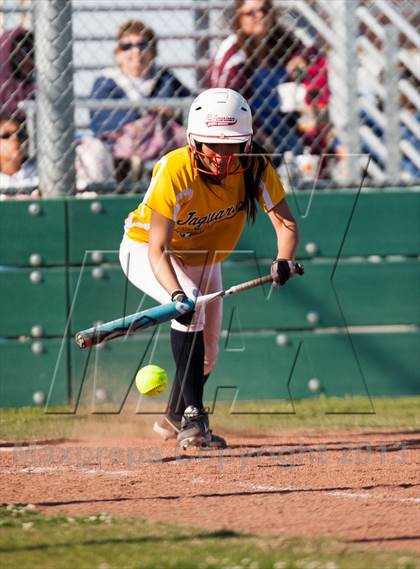 Thumbnail 1 in Beyer @ Gregori photogallery.
