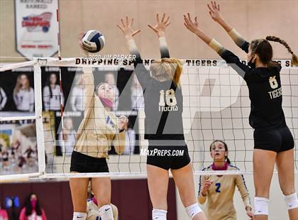 Thumbnail 2 in Tivy @ Dripping Springs photogallery.