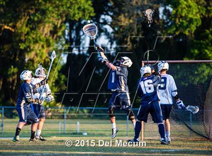 Thumbnail 1 in Alonso @ Newsome photogallery.