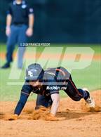 Photo from the gallery "Plant City @ Sumner"