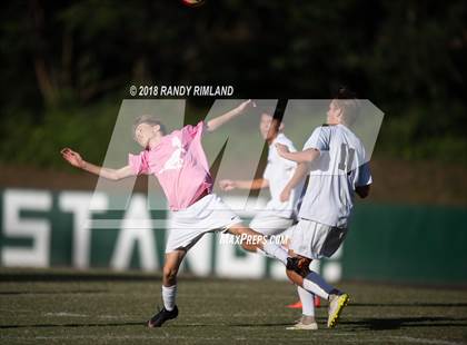 Thumbnail 3 in Porter Ridge @ Myers Park photogallery.