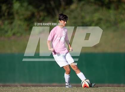 Thumbnail 1 in Porter Ridge @ Myers Park photogallery.