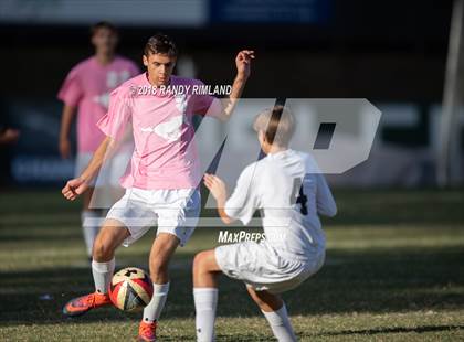 Thumbnail 1 in Porter Ridge @ Myers Park photogallery.