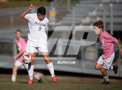 Thumbnail 3 in Porter Ridge @ Myers Park photogallery.