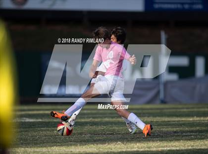 Thumbnail 2 in Porter Ridge @ Myers Park photogallery.
