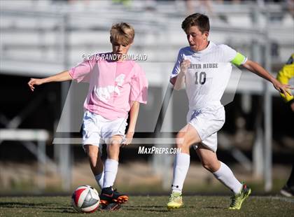 Thumbnail 3 in Porter Ridge @ Myers Park photogallery.