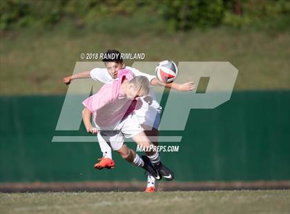 Thumbnail 3 in Porter Ridge @ Myers Park photogallery.