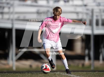 Thumbnail 2 in Porter Ridge @ Myers Park photogallery.