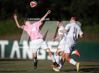 Thumbnail 2 in Porter Ridge @ Myers Park photogallery.
