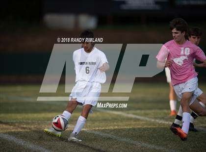 Thumbnail 1 in Porter Ridge @ Myers Park photogallery.