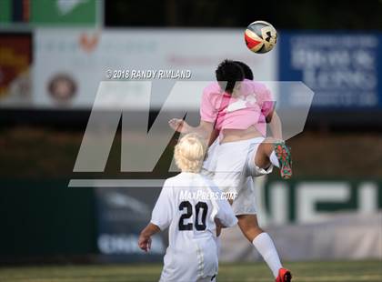 Thumbnail 1 in Porter Ridge @ Myers Park photogallery.