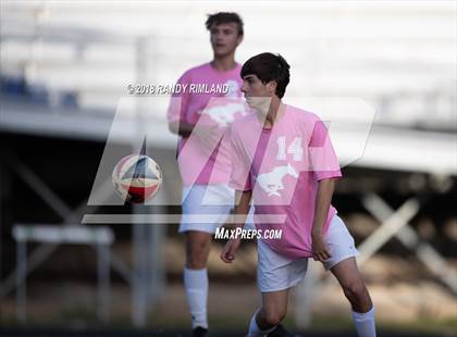Thumbnail 2 in Porter Ridge @ Myers Park photogallery.