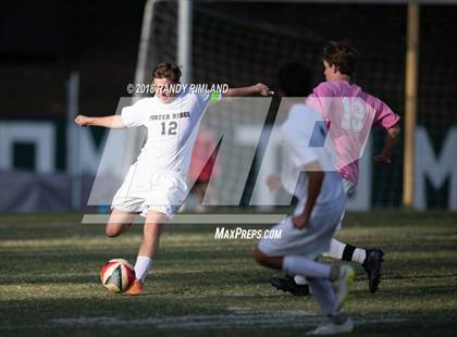 Thumbnail 3 in Porter Ridge @ Myers Park photogallery.