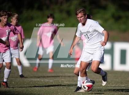 Thumbnail 2 in Porter Ridge @ Myers Park photogallery.