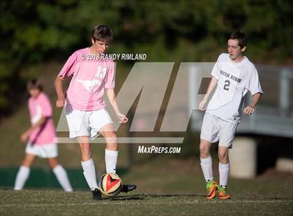 Thumbnail 2 in Porter Ridge @ Myers Park photogallery.