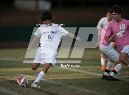 Thumbnail 3 in Porter Ridge @ Myers Park photogallery.