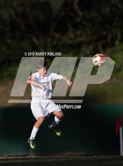Thumbnail 3 in Porter Ridge @ Myers Park photogallery.