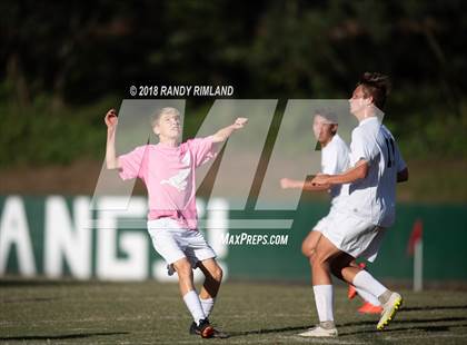 Thumbnail 2 in Porter Ridge @ Myers Park photogallery.