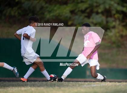 Thumbnail 1 in Porter Ridge @ Myers Park photogallery.