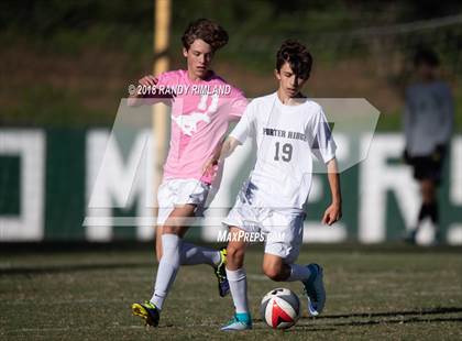 Thumbnail 3 in Porter Ridge @ Myers Park photogallery.
